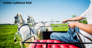 Horse Carriage Ride 