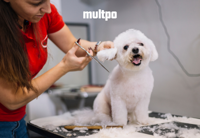 multpo
