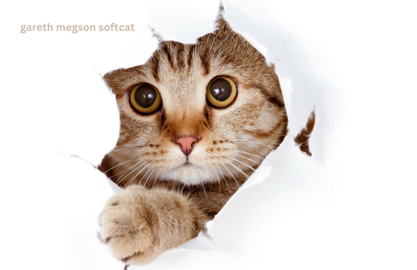 gareth megson softcat
