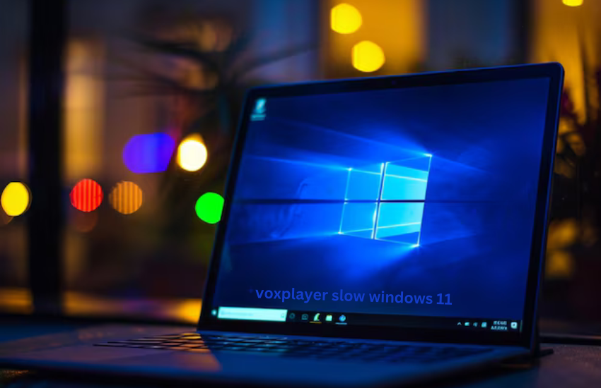 voxplayer slow windows 11
