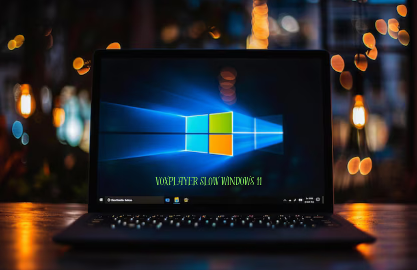 voxplayer slow windows 11